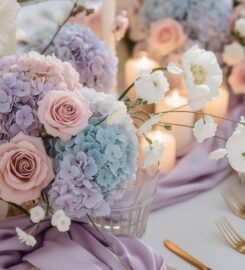 Vialuna Wedding & Event Planner